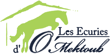 Les Écuries d'O Mektoub
