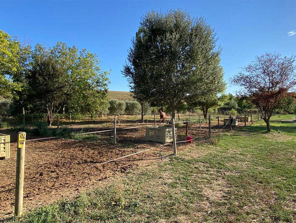 pension-chevaux-ecuries-d-o-mektoub-5