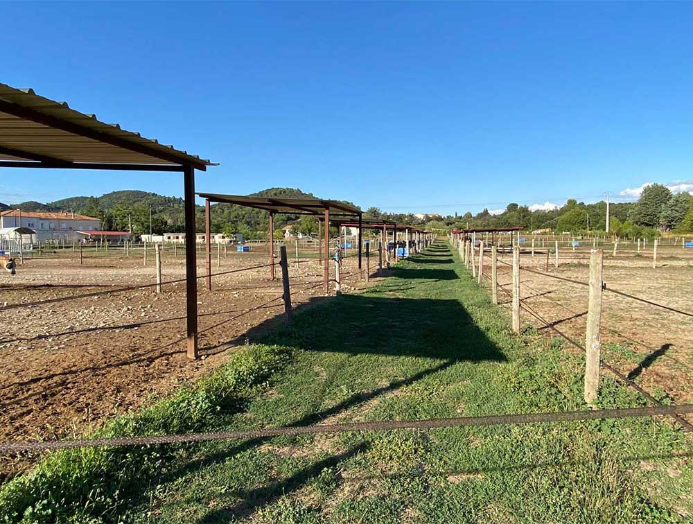 pension-chevaux-ecuries-d-o-mektoub-6
